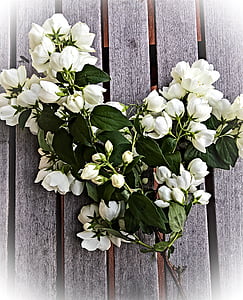 jasmin, flowers, bouquet, south american jasminart, bush, white, ball-shaped buds