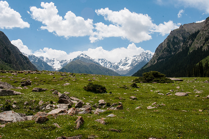 dãy núi, đỉnh cao, rau xanh, Thiên nhiên, hẻm núi, Kyrgyzstan, kỳ nghỉ