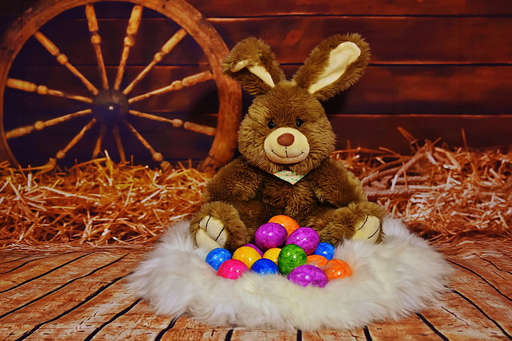 Easter bunny, lihavõtted, muna, lihavõttemunad, Värviline, värvilised, pidu