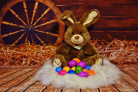 easter bunny, easter, egg, easter eggs, colorful, colored, celebration