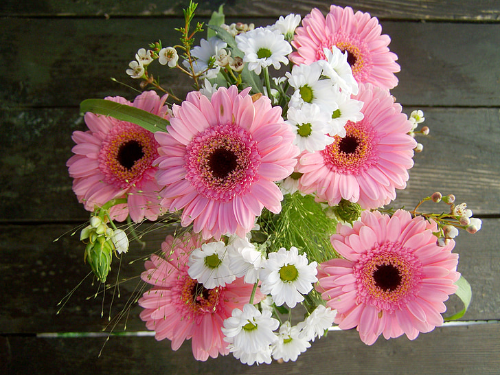 blombukett, rosa och vita blommor, Gerbera, snittblomma, bukett, naturen, blomma