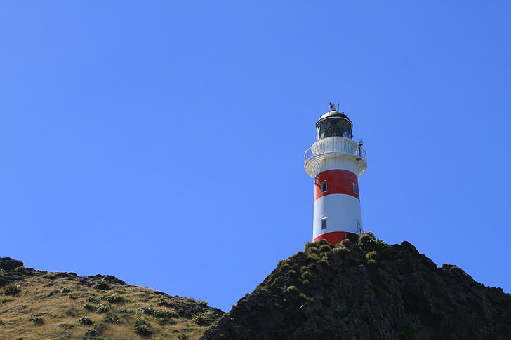 Faro di Cape palliser, Faro, Nuova Zelanda, Wellington, Beacon, luce, sicurezza marittima
