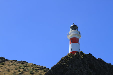 Cape palliser fyr, Lighthouse, Nya Zeeland, Wellington, Beacon, ljus, sjösäkerhet