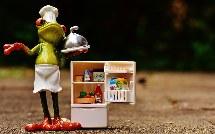 frog, cooking, figure, refrigerator, supplies, funny, cute