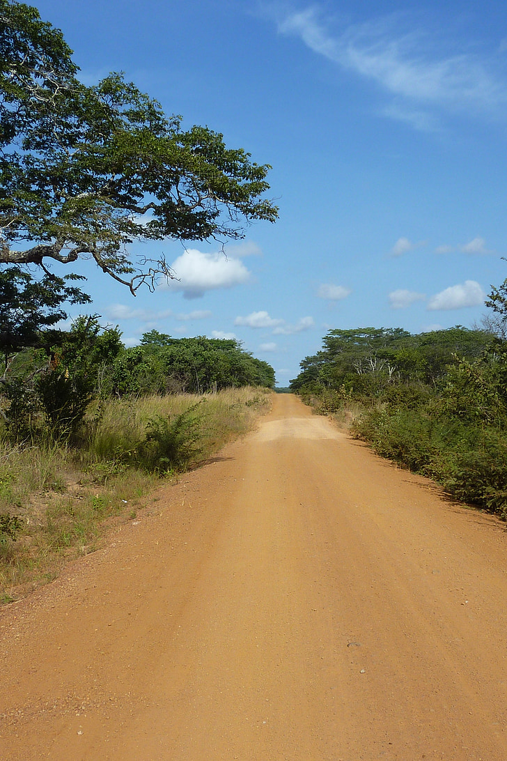 Tanzanija, kelių, dulkių, dangus, medis, medžiai, smėlio