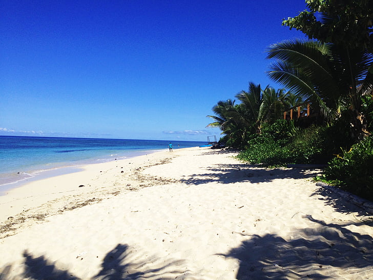 海, 海滩, 棕榈树, 斐济, 利基岛, boula