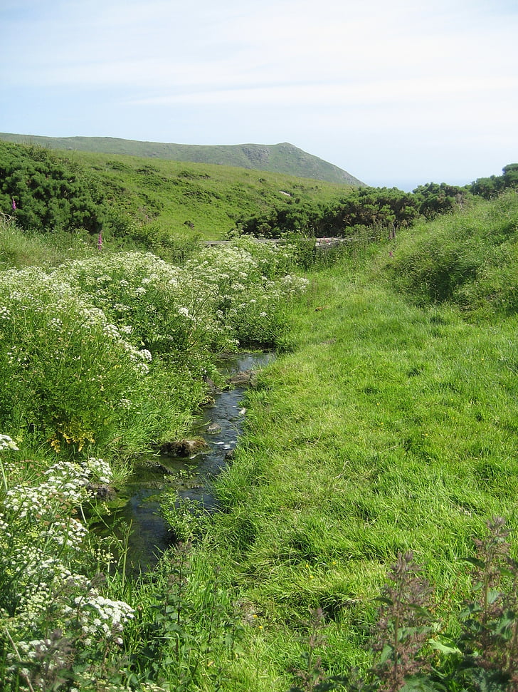 Creek, Skottland, landskap, grön, naturen, grön färg, Utomhus