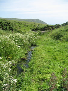 Creek, Scoţia, peisaj, verde, natura, culoare verde, în aer liber
