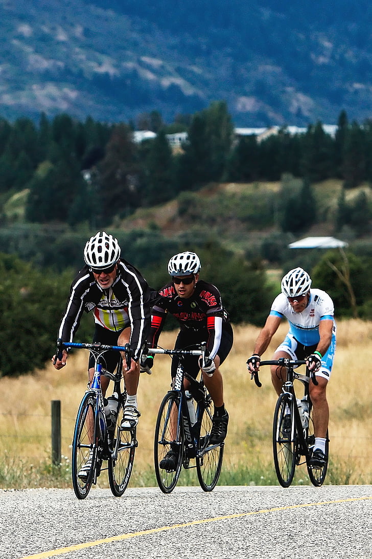 cyclists, riders, adventure, recreation, athlete, race, motion