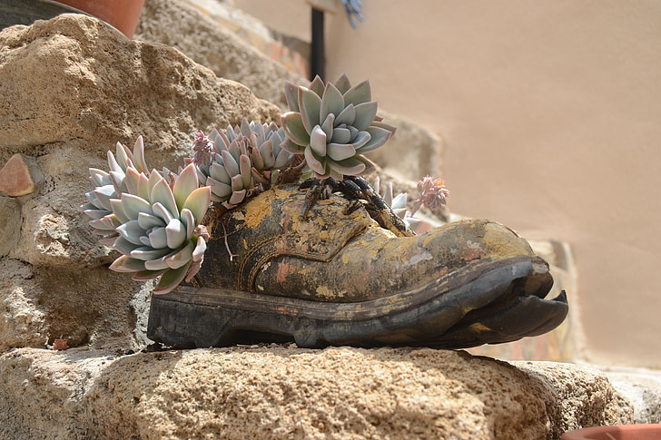 shoe, stone, plant, vintage