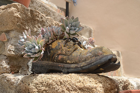buty, kamień, roślina, Vintage