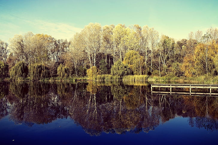 reflection, nature, t, lake, waterfront, water, landscape