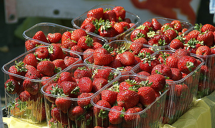fraises, fruits, mature, en bonne santé, manger, alimentaire, végétation