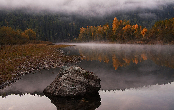 Outono, Lago, árvores, natureza, floresta, paisagem, reflexão