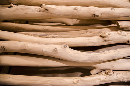 bois, Journal, bois, tronc, bois de sciage, en bois, matériel