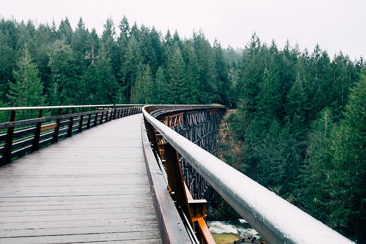bridge, forest, pine trees, sky, nature, railroad Track, tree