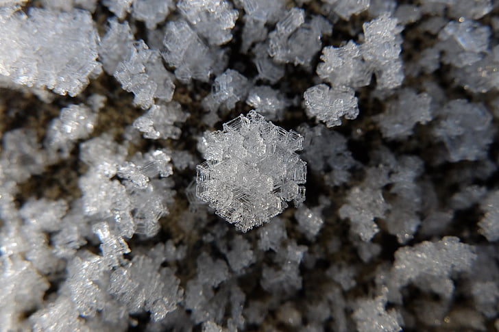 Frost, Crystal, ijs, winter