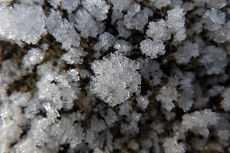 Frost, krystall, isen, Vinter
