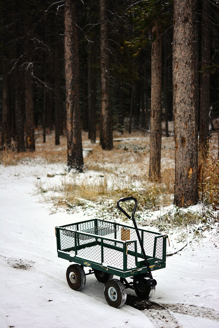 groen, zwart, wagon, besneeuwde, bos, sneeuw, boom