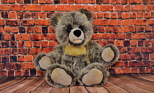 Teddy, yumuşak oyuncak, Steiff, şirin, oyuncak ayı, doldurulmuş hayvan, tuğla duvar