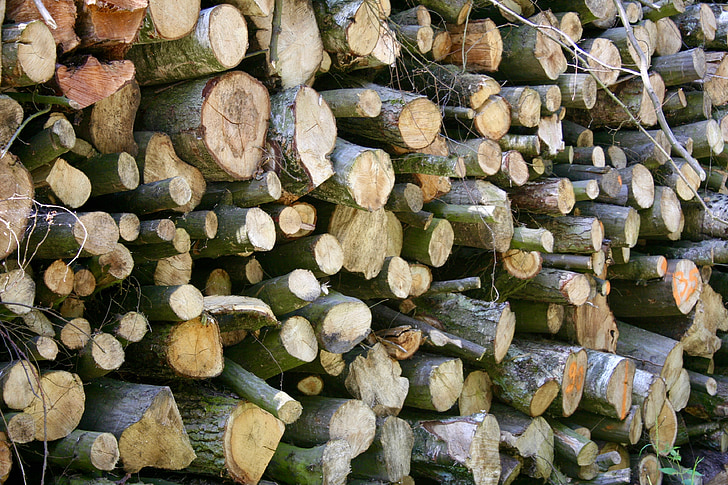 wood, forest, wood pile, green, grass, nature, tree