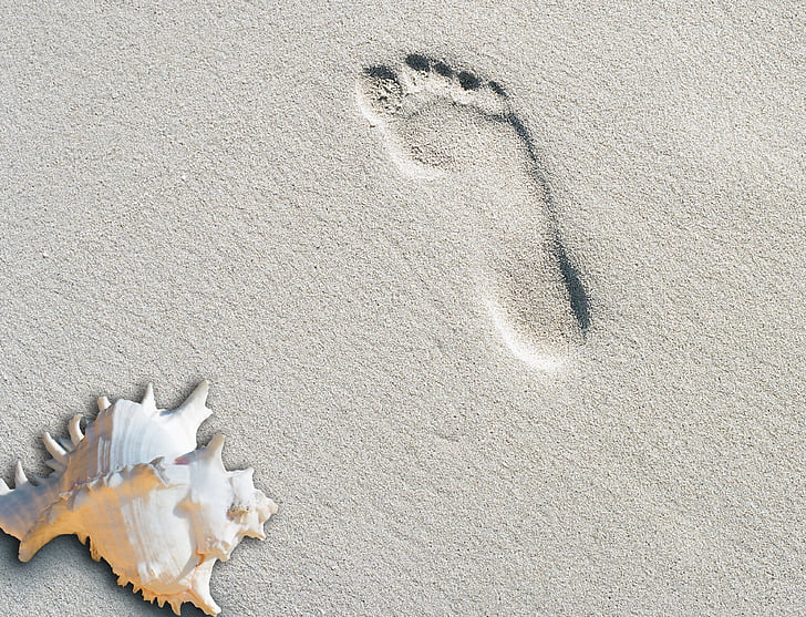 strand, zand, zomer, voetafdruk, shell