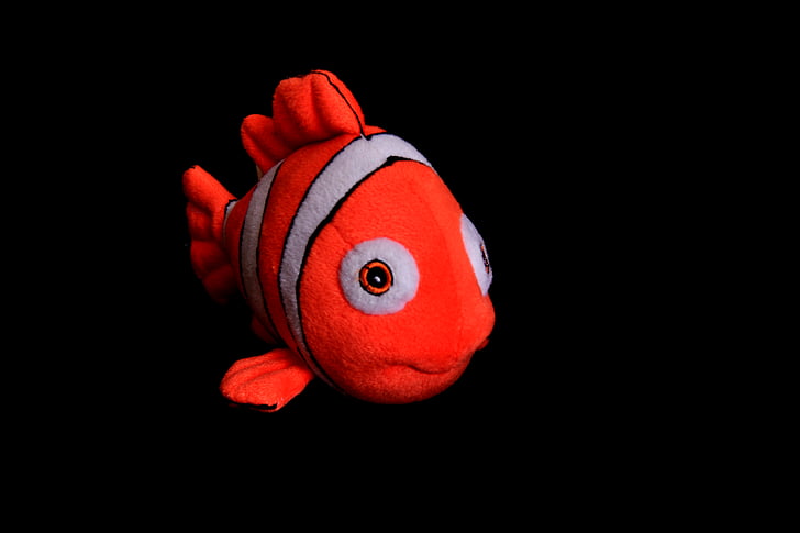 Clown rýb, Koi ryby, vankúš ryba, hračky, hľadá sa Nemo, červená