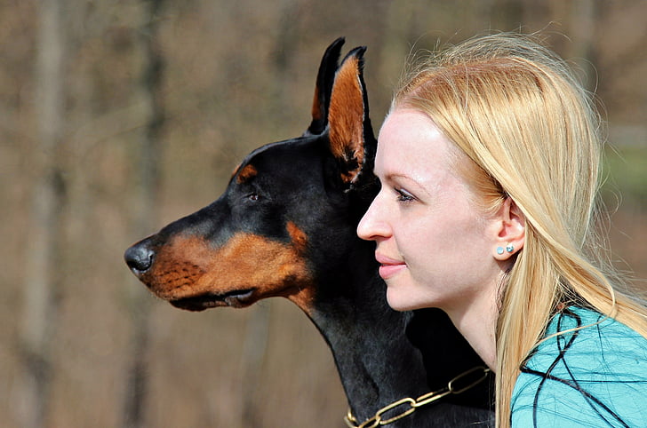 Doberman, suns, blonda sieviete, sejas, portrets, blondi mati, tikai viena sieviete