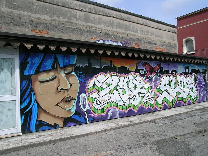 mural, seni jalanan, dinding, seniman, artistik, jalan, wajah