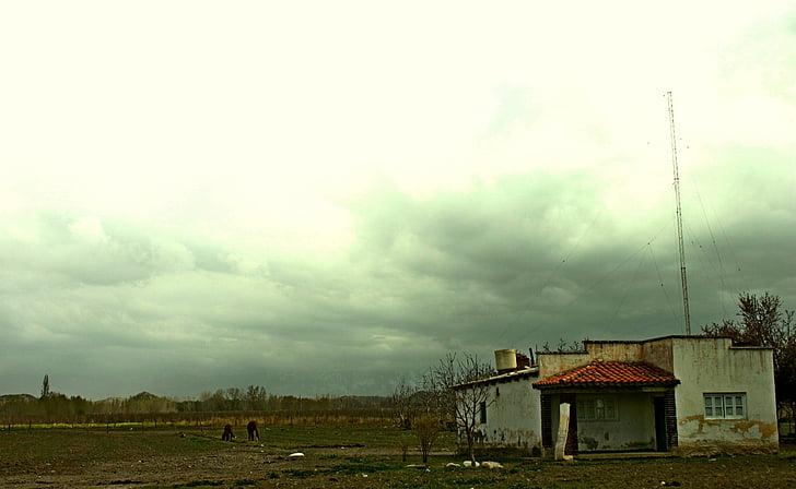 house, landscape, field, horse, farm, sky, cloudy