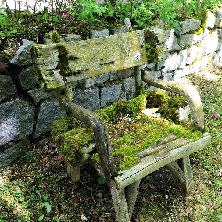 houten stoel moss, Moss, houten stoel, uit, oude, verweerde, stoel
