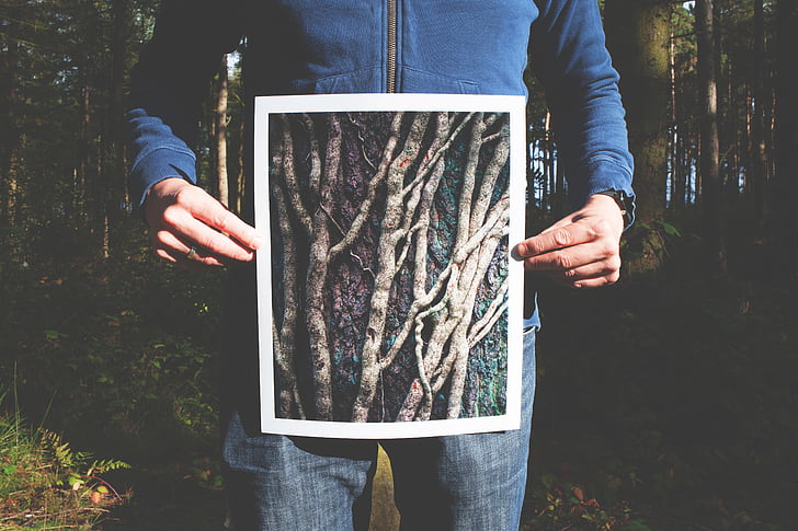 лес, руки, проведены, человек, лица, фотография, корни
