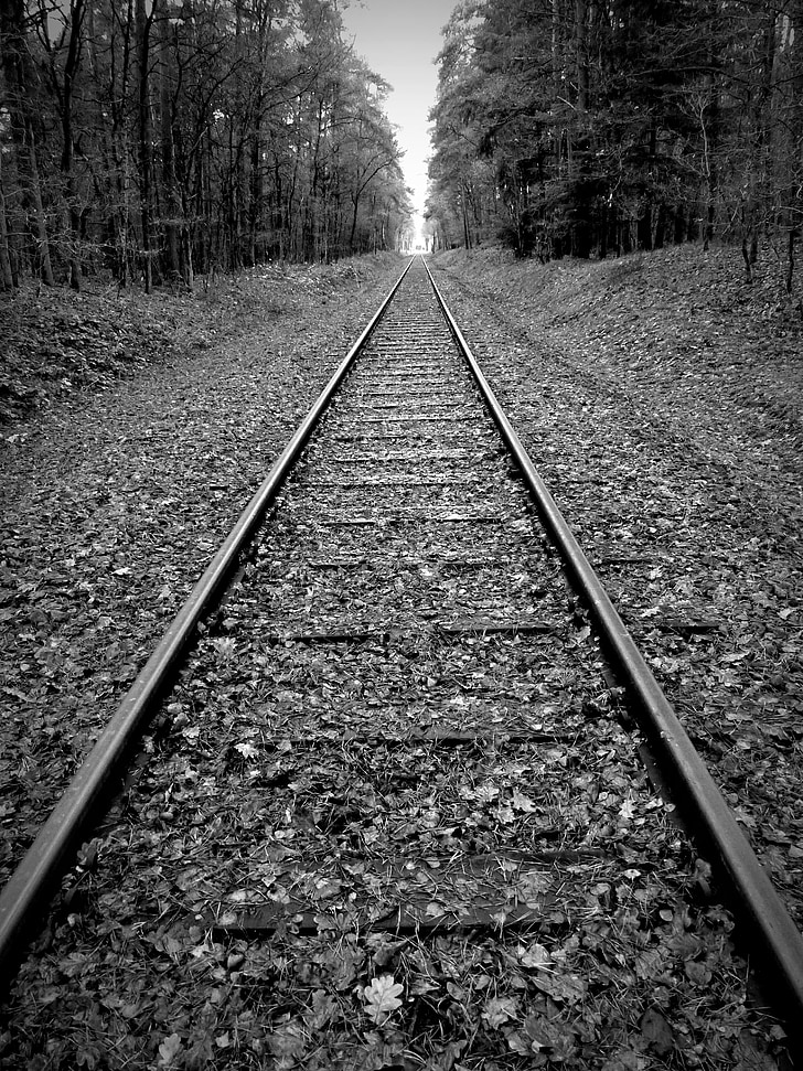 gleise, track bed, seemed, railway tracks, railway rails, threshold, railroad ties