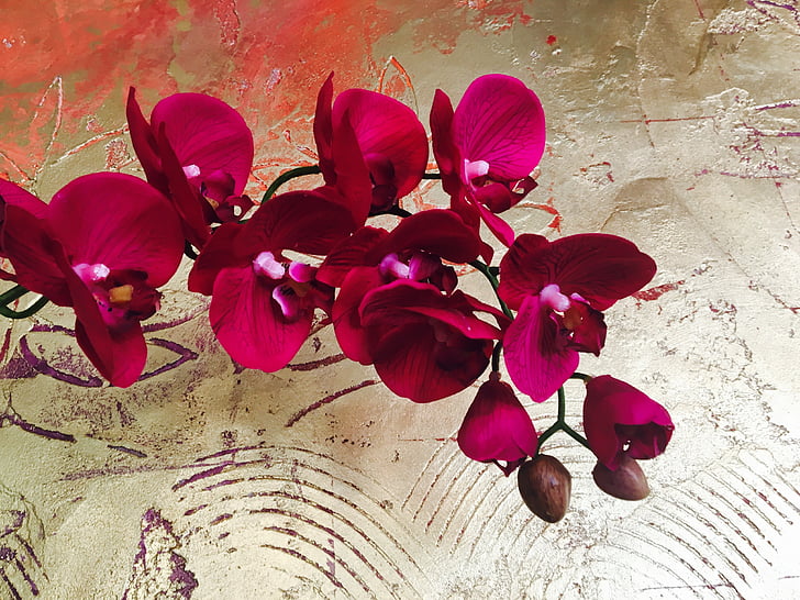 orchid, flower, gold wall, plant, artificial, decoration, purple