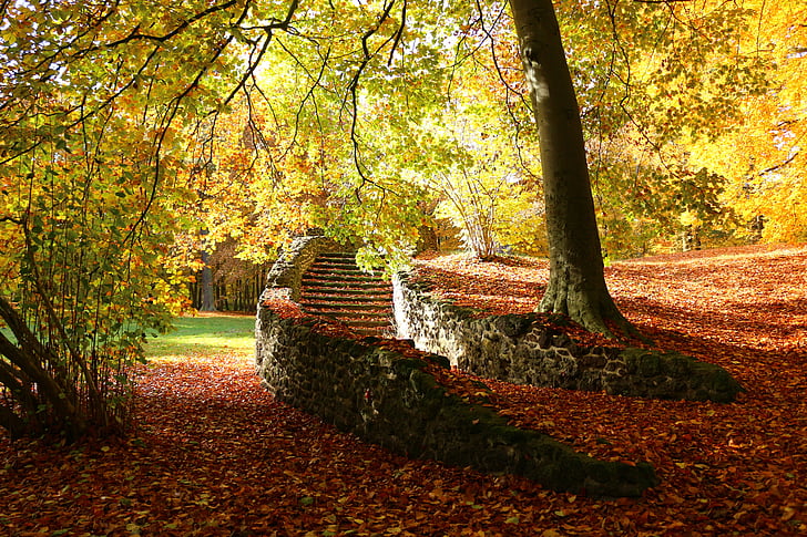 autumn, ruin, stairs, fall foliage, stair step, castle park, ludwigslust-parchim