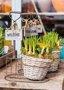 green, plant, garden, agriculture, basket, flowerpot, tag