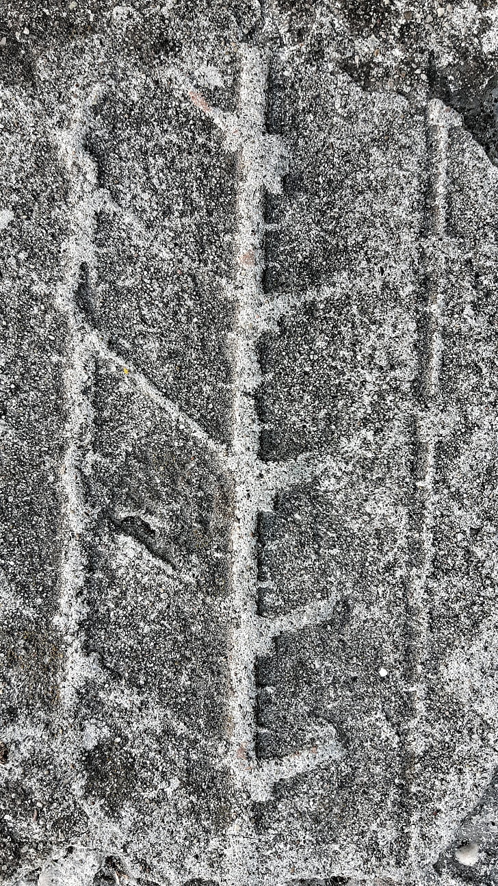 asphalt, texture, cement, footprint, gray, wheel