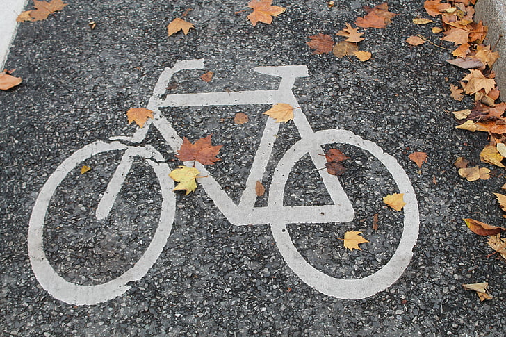 bicycle path, bike, autumn, cycle path, cyclists, wheel, cycling
