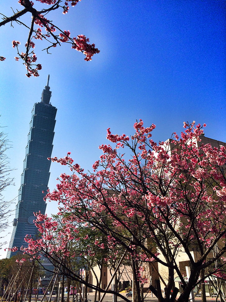 Taiwan, Taipei, arkitektur, 101, våren, resor, landmärke