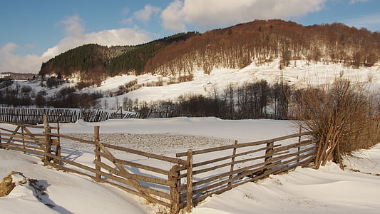 leseno ograjo, sneg, pozimi, zimski gozd, ograje