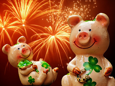 행운, 돼지, 행운 돼지, 귀여운, 운이 좋은 매력, 뿌리 다, 새 해의 이브