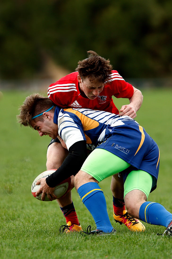 rugby, youth, male, players, game, grass, sport