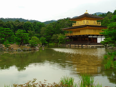 Japāna, ainava, templis, zelta paviljons