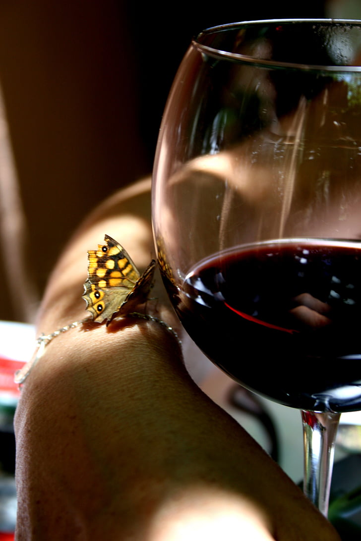 vin, sommerfugl, glass