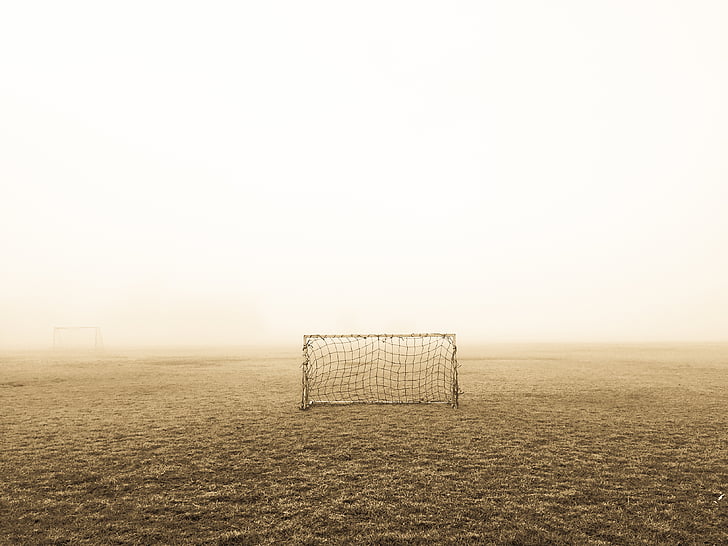 déserte, domaine, brouillard, football, objectif, herbe, brume