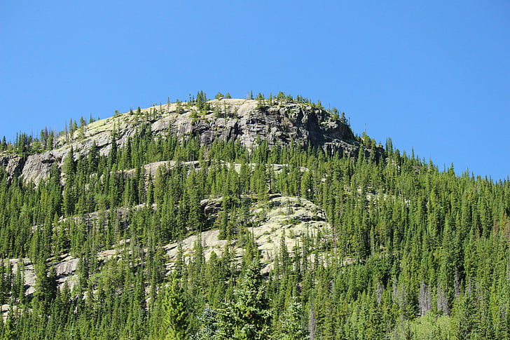 montaña, bosque, Parque Nacional Rocky mountain, Parque Nacional, servicio del Parque Nacional, naturaleza, paisaje