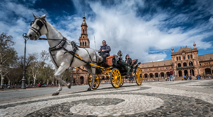 sevilla, horse, spain, tourism, travel, carriage, monument