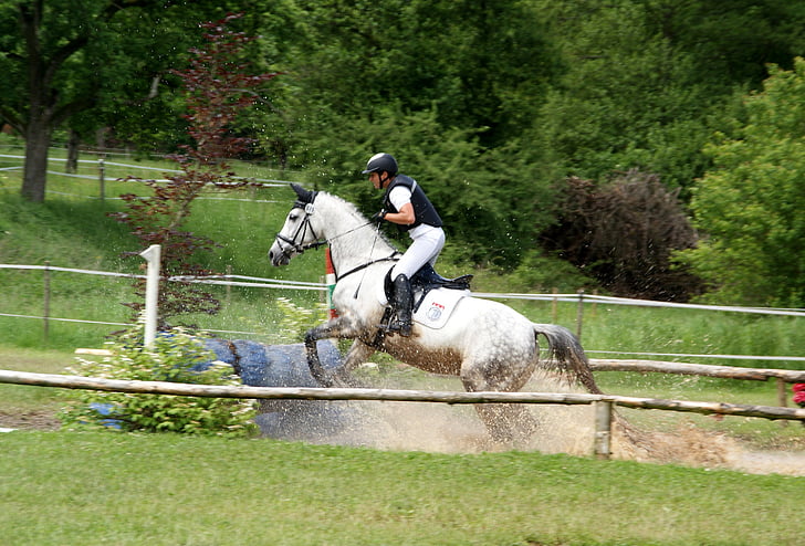 Ride, kôň, Reiter, súťaže, jazdecké, turnaj, pohyb