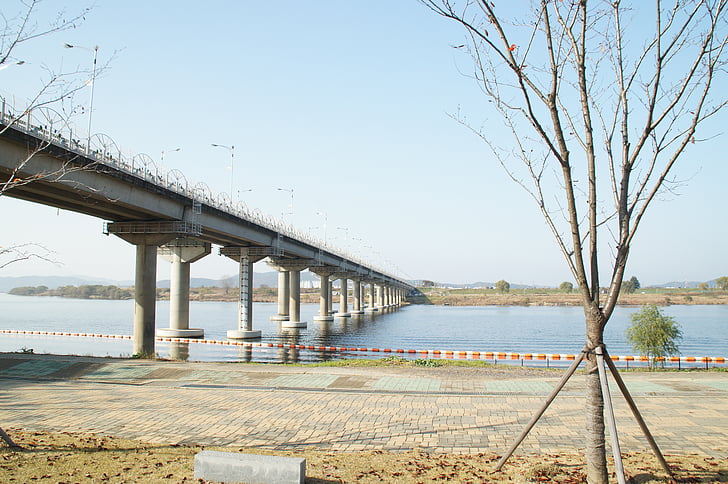 overpass, riverside, river, field, korea, landscape, nature
