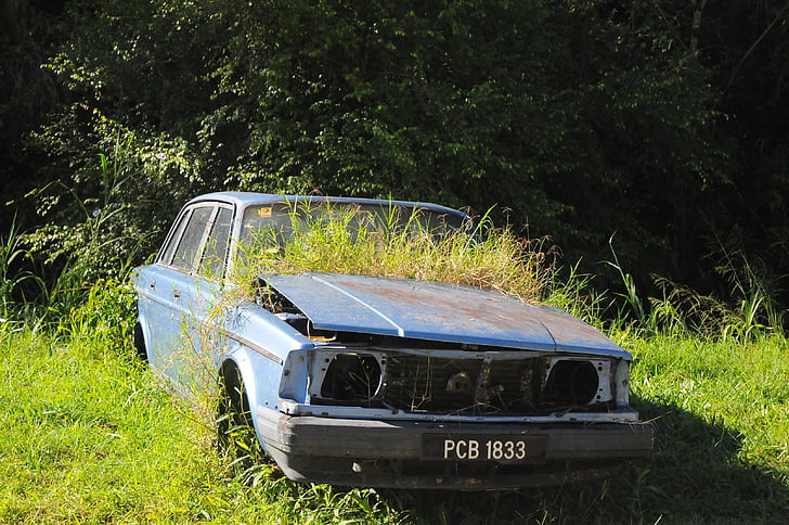 nature, vehicle, countryside, summer, car, day, outdoors